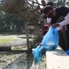 Wakil Bupati Kuningan saat menebar 2 kwintal ikan air tawar di Situ Citamba.